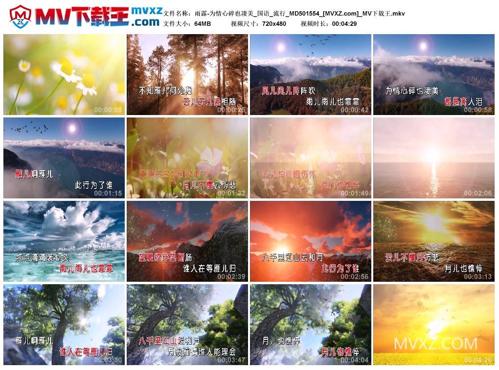 雨露-为情心碎也凄美_国语_流行_MD501554